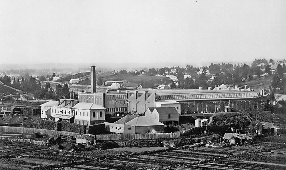 Discover Historic Mount Pleasant